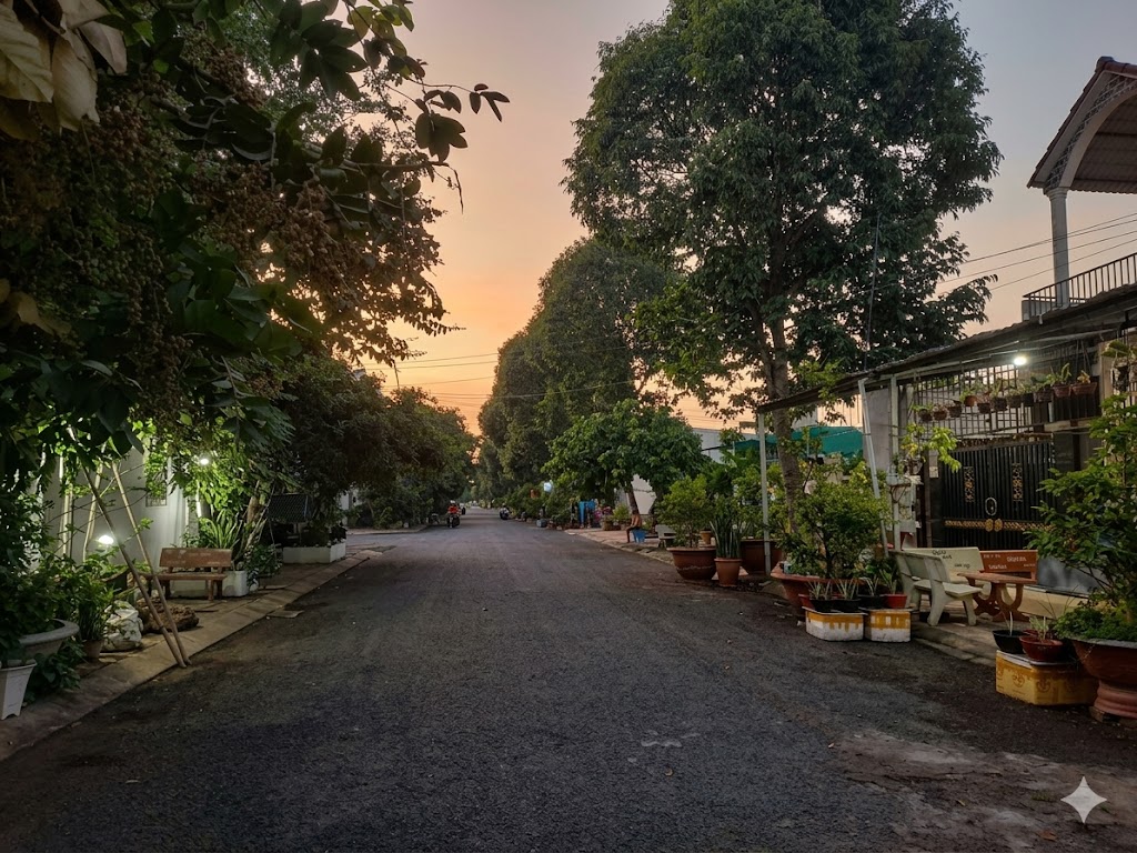 Ảnh 2
