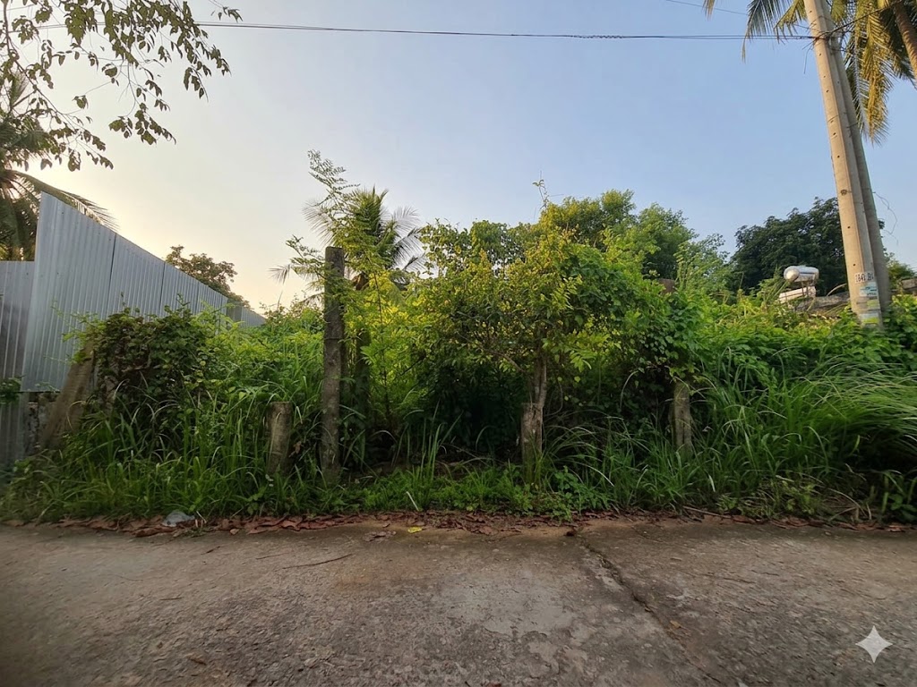 Đất thổ cư hẻm D8 khu hành chánh