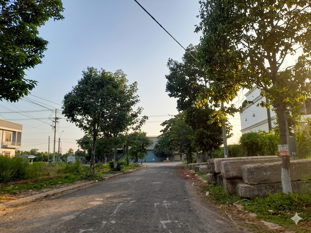 Ảnh 2