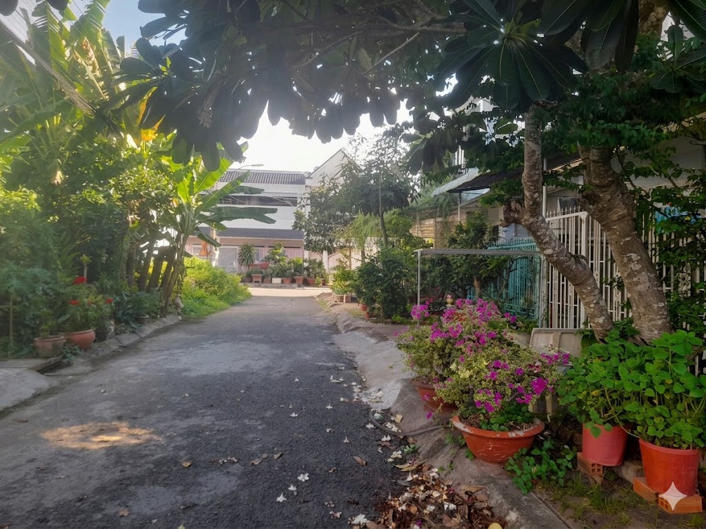 Ảnh 2