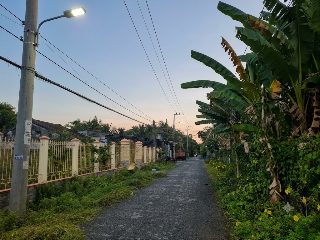 Ảnh 2